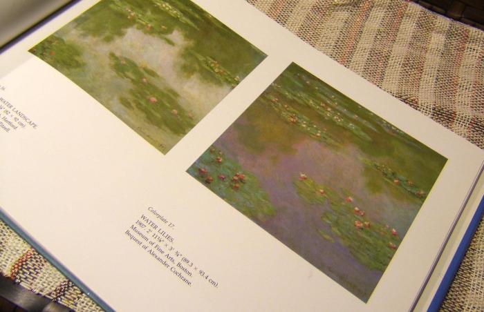 painting of water lilies by Monet