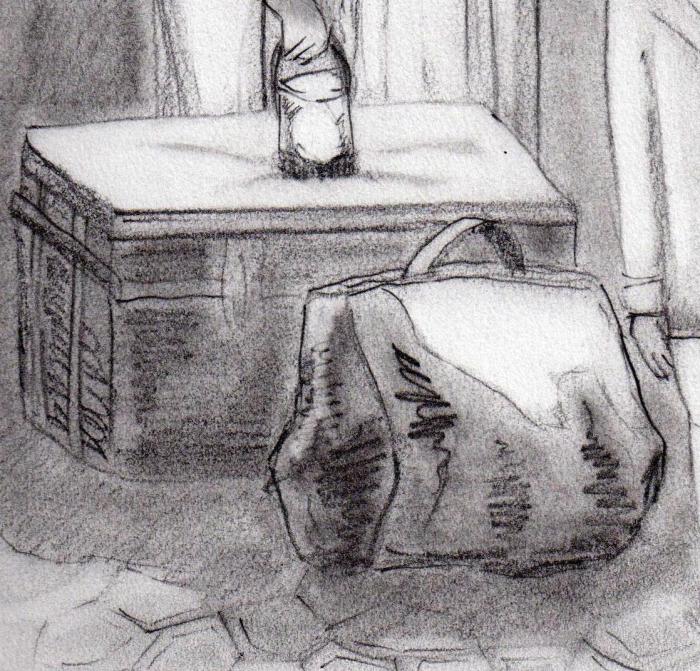 luggage, landed on the shore