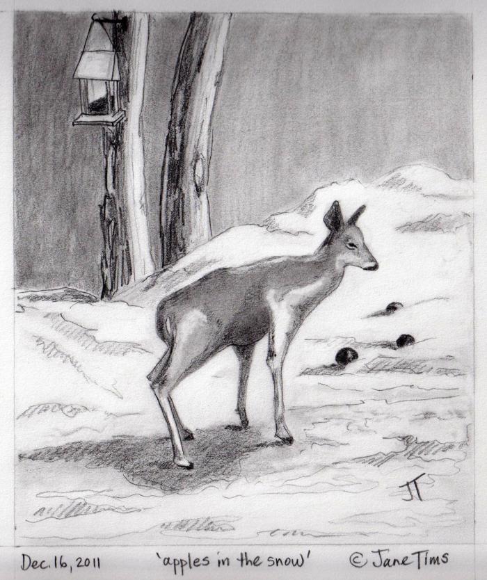 'apples in the snow'