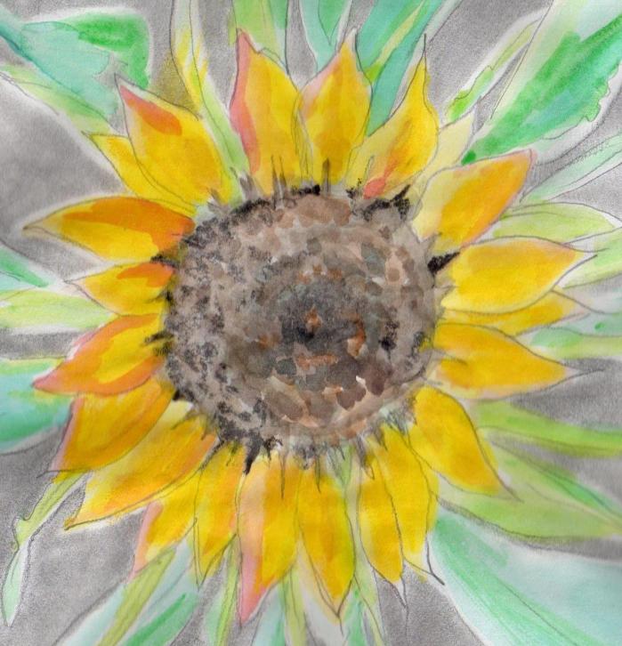 'sunflower'