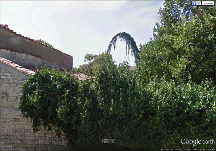 vine-covered arch vine-covered arch
