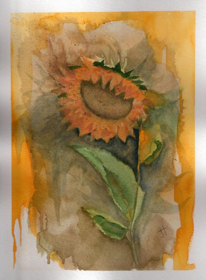 'sunflower'