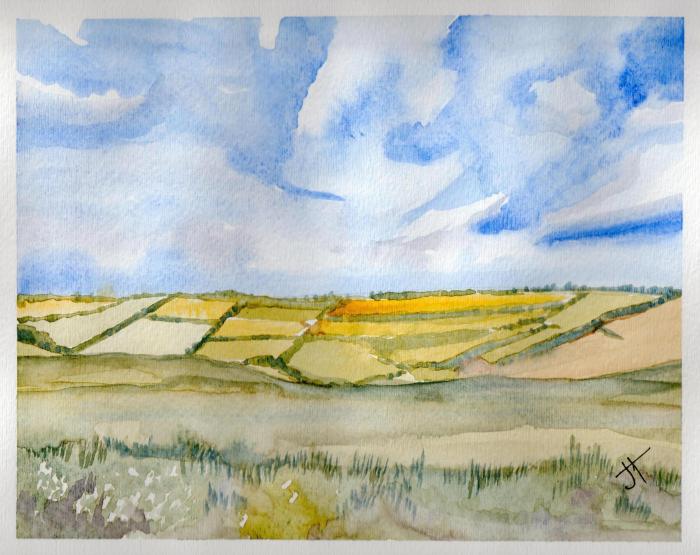 July 19, 2013  'countryside near Polperro'   Jane Tims