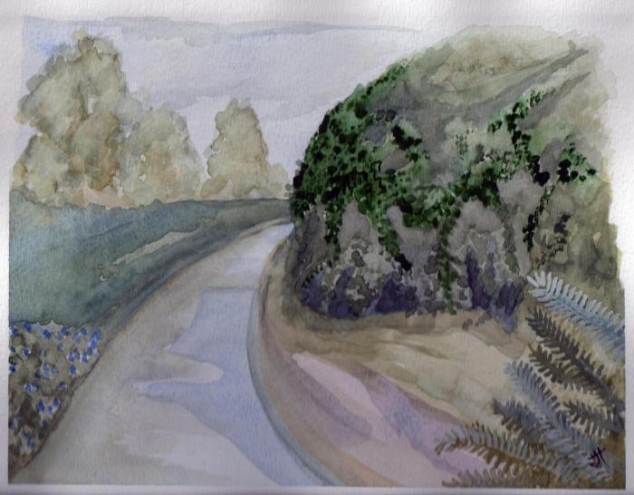 July 12, 2013 'vines and ferns on Looe Hill' Jane Tims