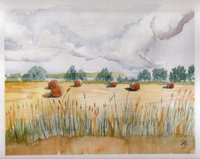 Aug 18, 2013 'haybales near Trenarren' Jane Tims