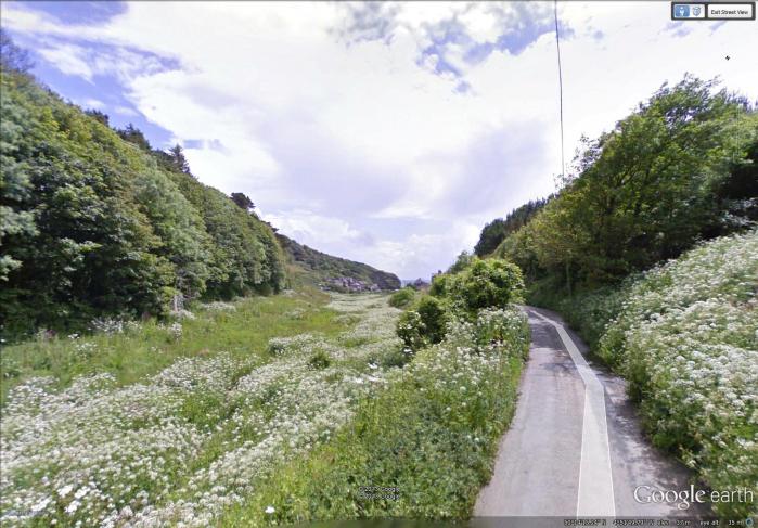 7-26 valley white flowers