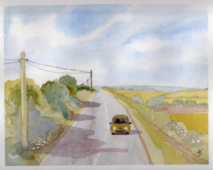 September 7, 2013 'green car' Jane Tims