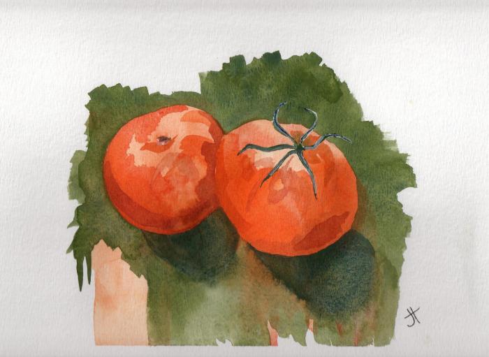 September 14, 2013 'tomato red' Jane Tims