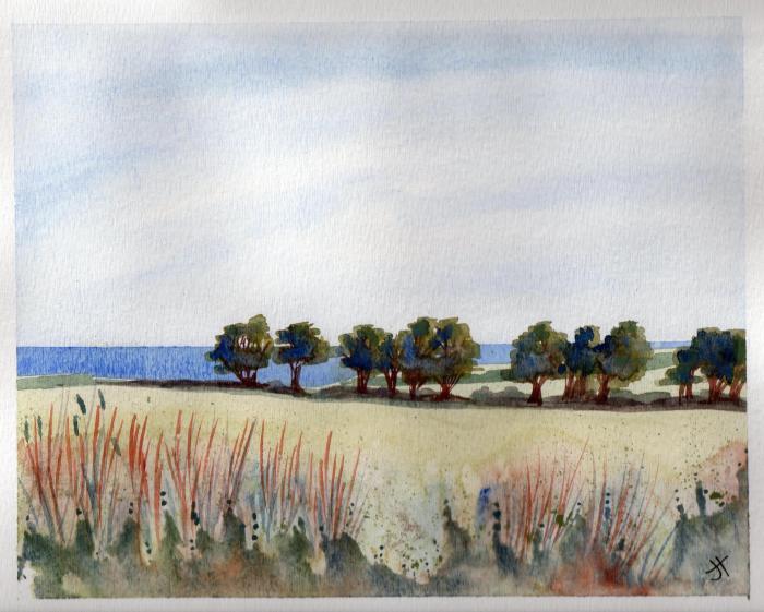 September 21, 2013 'row of trees south of Portscatho' Jane Tims