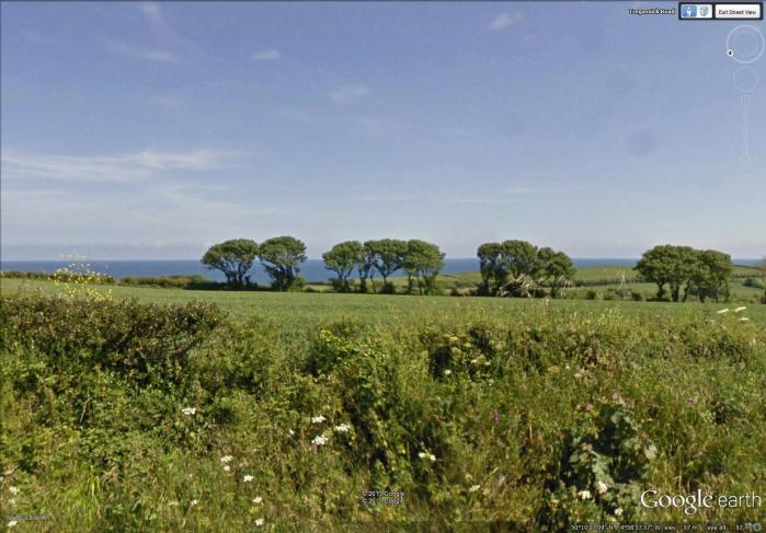 tree line south of Portscatho