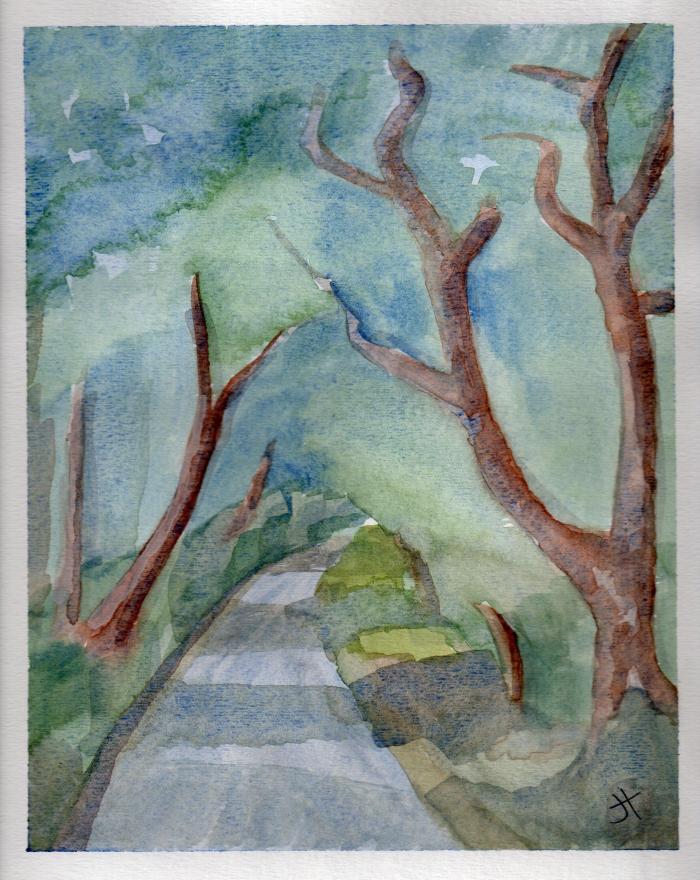 October 3, 2013 'road tunnel near Penpol' Jane Tims