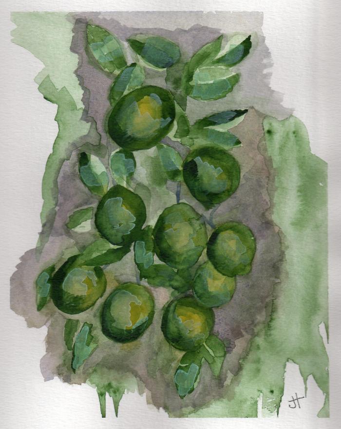 November 15, 2013  'loaded with limes'   Jane Tims