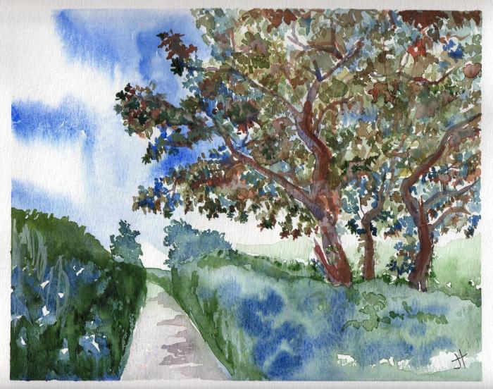 November 26, 2013 'oak on Fords Hill' Jane Tims