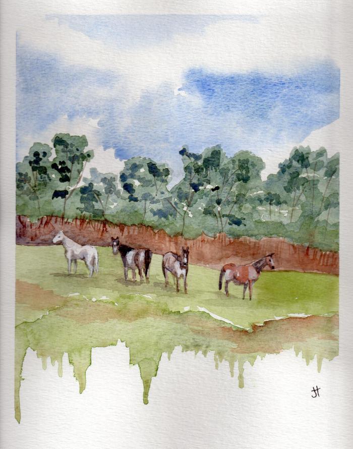 December 2, 2013  'horses along Pengarrock Hill'   Jane Tims