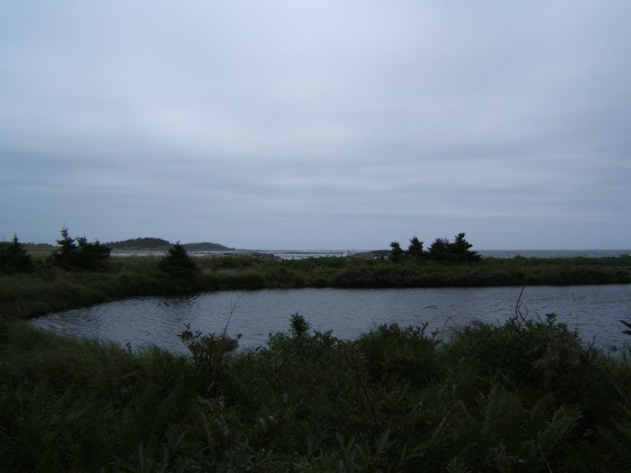 near Torr Bay, Nova Scotia