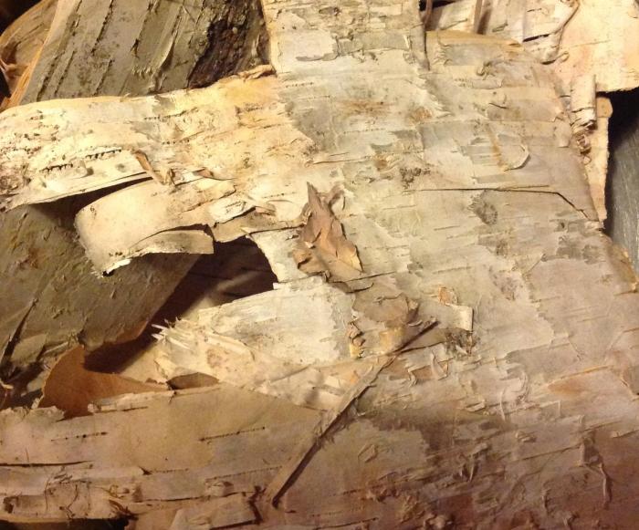 birch bark, donated by my brother-in-law