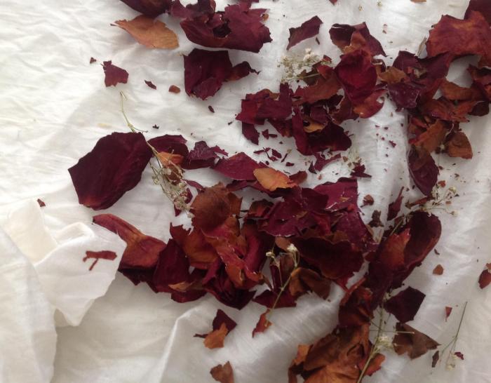 rose petals, scattered on the silk