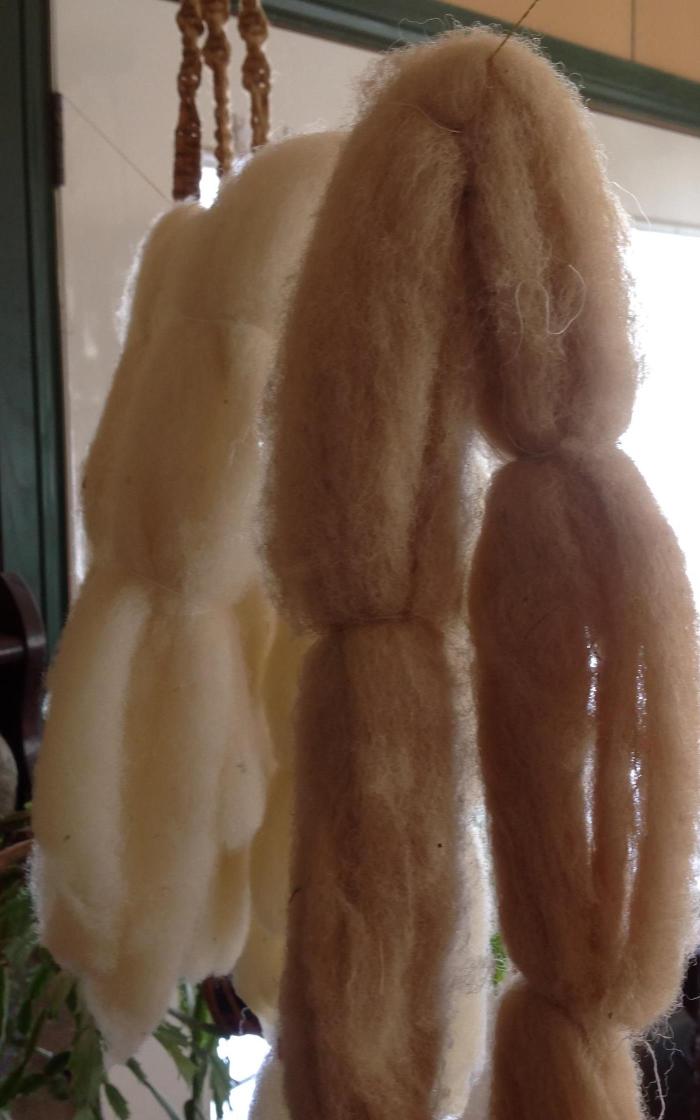 to the right, my lichen-dyed wool, and to the left, my un-dyed alum-treated wool