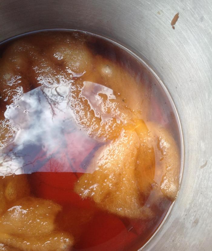 wool simmering in the orange alder water - looks like sky and clouds are in there too!