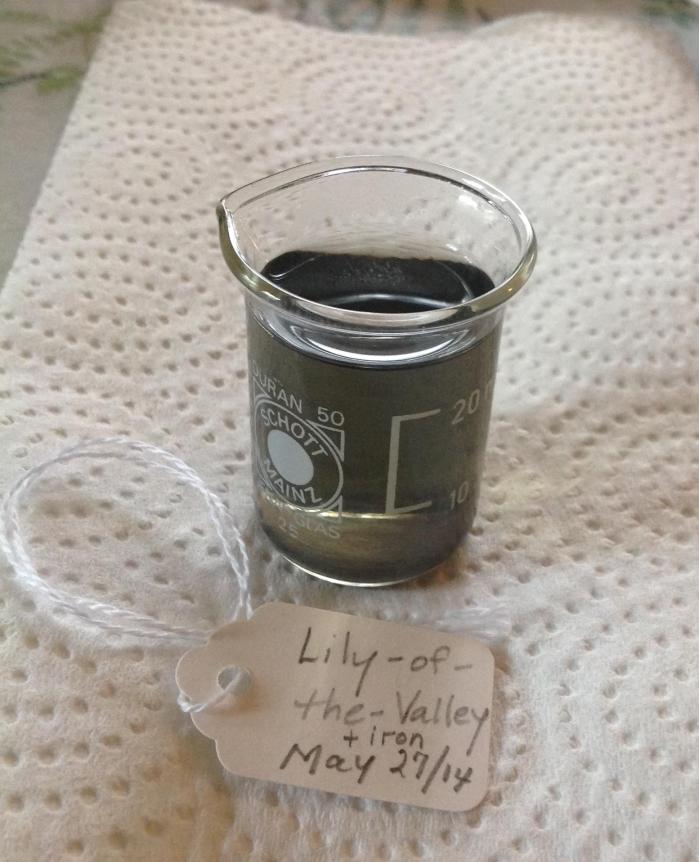 dark dye from Lily of the Valley