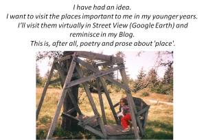 swing chair voyages.png