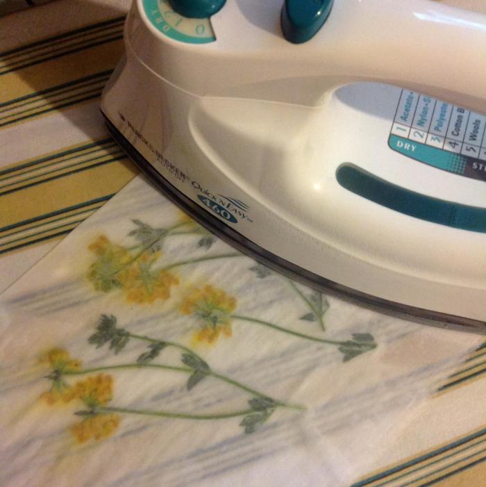 using the steam iron to transfer colour from Birdsfoot trefoil to cotton