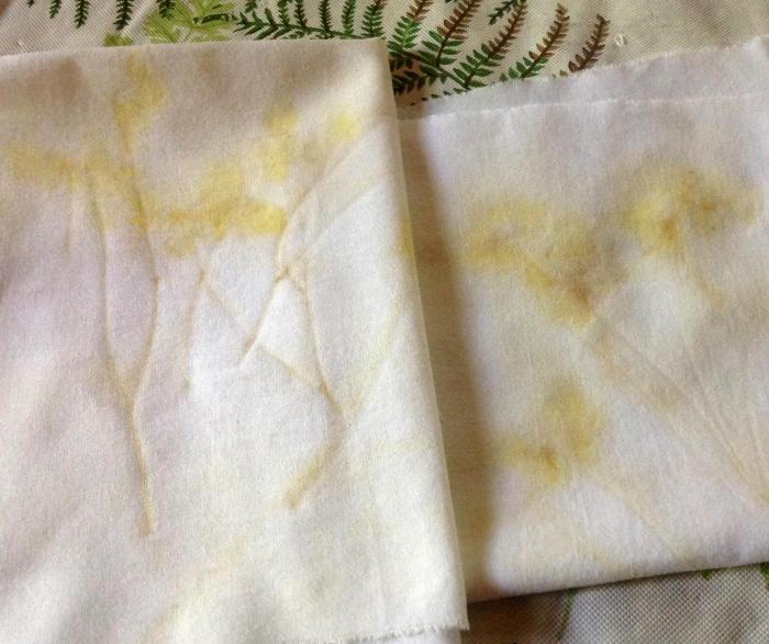 colour transfers from Birdsfoot trefoil 