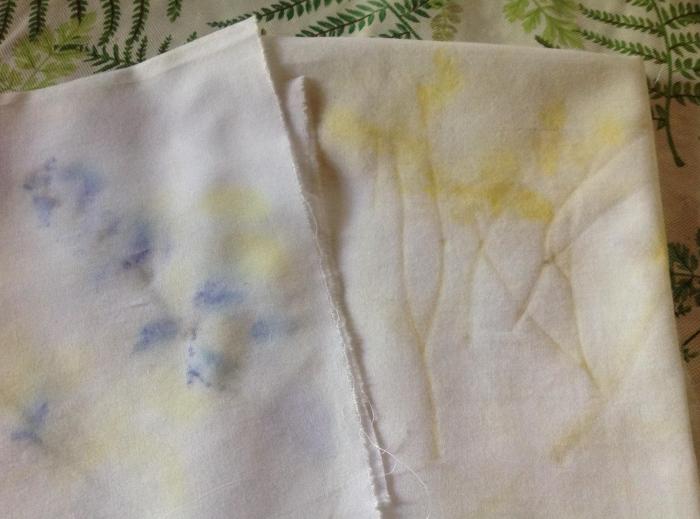 colour transfers using Bugleweed and Birdsfoot trefoil 