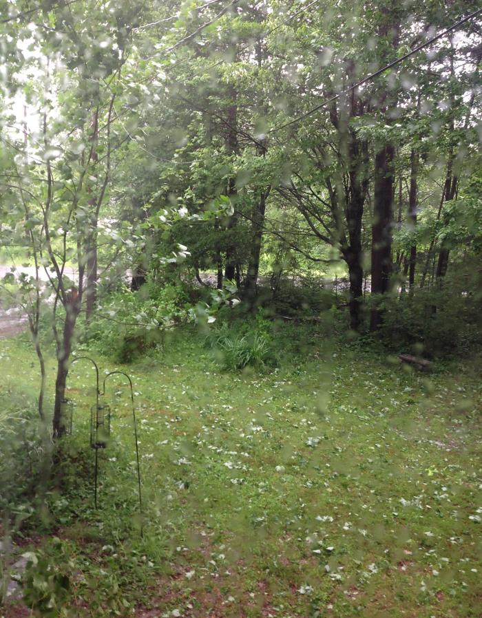 front yard during Arthur