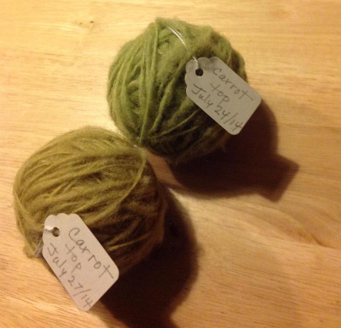 colours of wool obtained from the first and second boil in a dyestuff of carrot tops