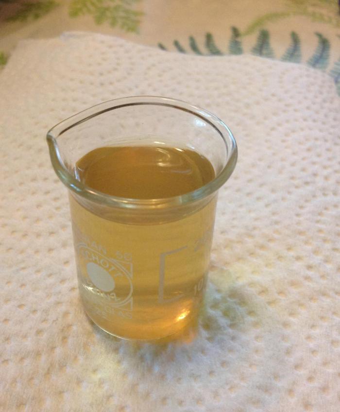 the yellow dye of Solidago