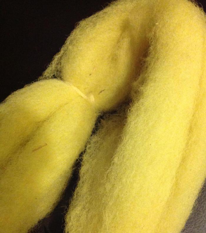 wool roving, treated with alum and simmered for an hour in Goldenrod dye