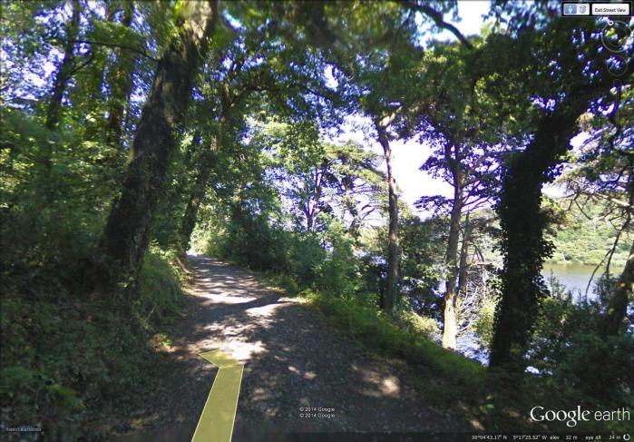 a typical part of the path along 'The Loe'