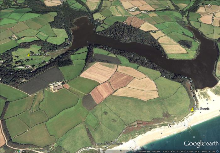 from the beach at the mouth of Loe Pond to Shadywalk Wood (map from Google Earth)