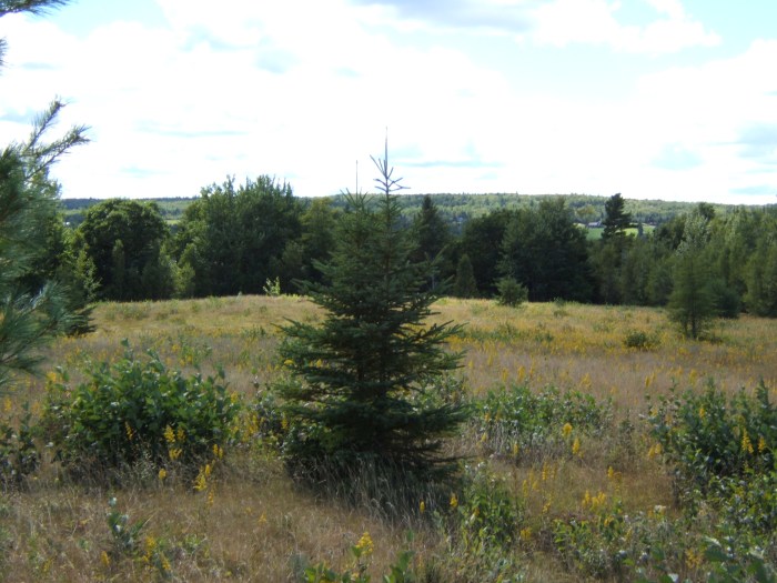 our lake property in 2005