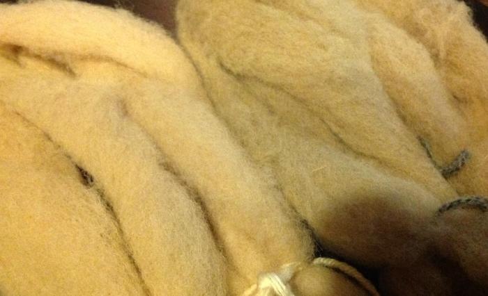 saddening the colour: on the left, alum-treated wool dyed with Meadowsweet; on the right, the same with added iron