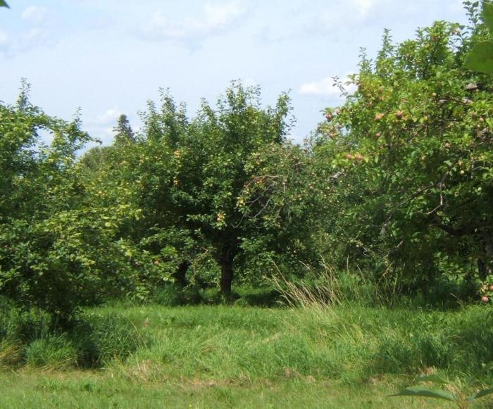 DSCF1846_CROP_CROP_crop