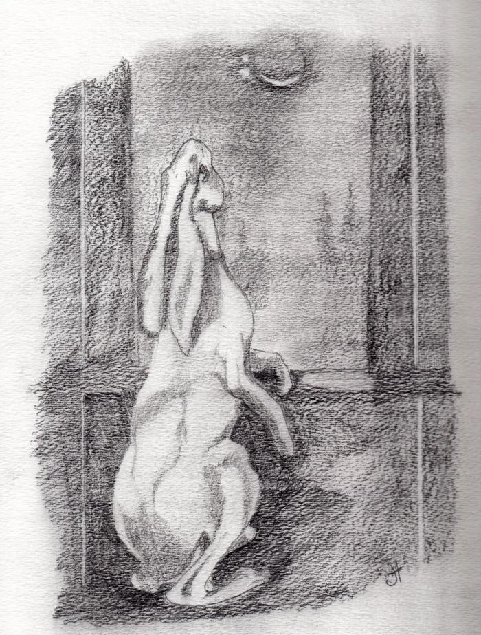 March 1, 2015 'conjunction' Jane Tims