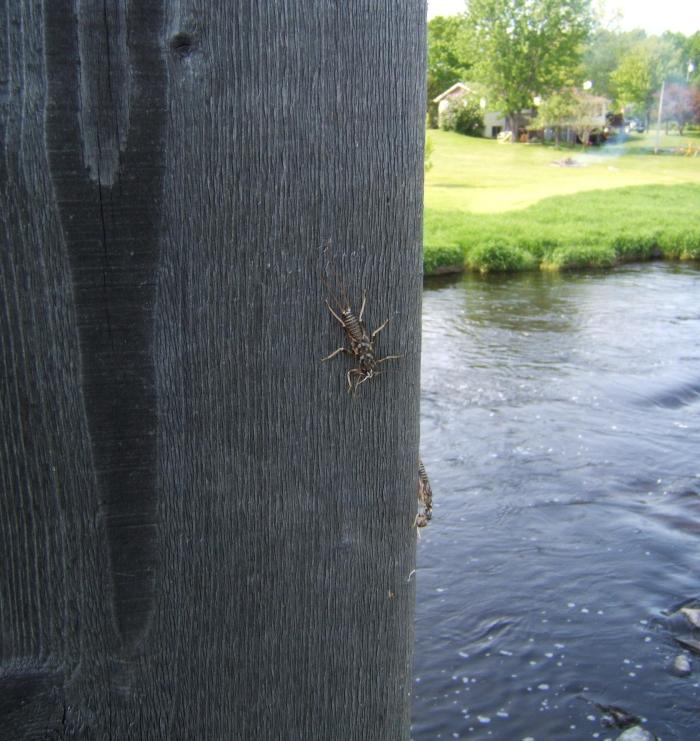 TRIP TO BENTON 2015 065_crop