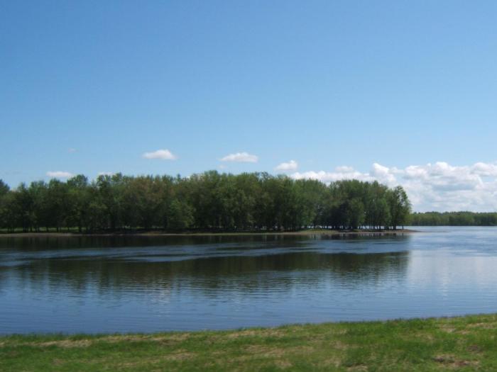 TRIP TO BURPEE 2015 001_crop