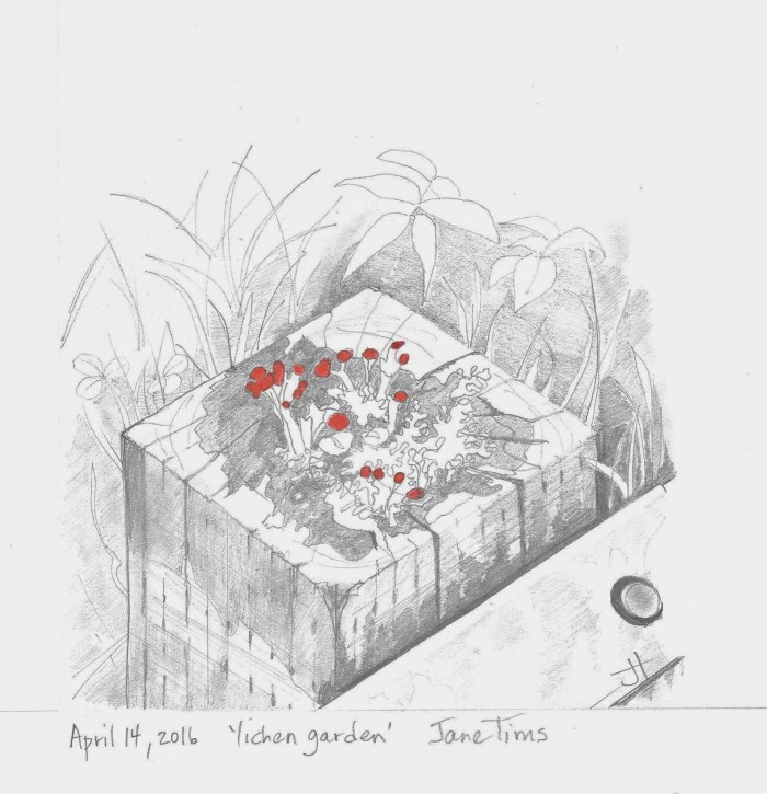 April 14 2016 'lichen garden' Jane Tims