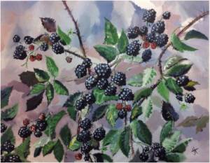 berries and brambles