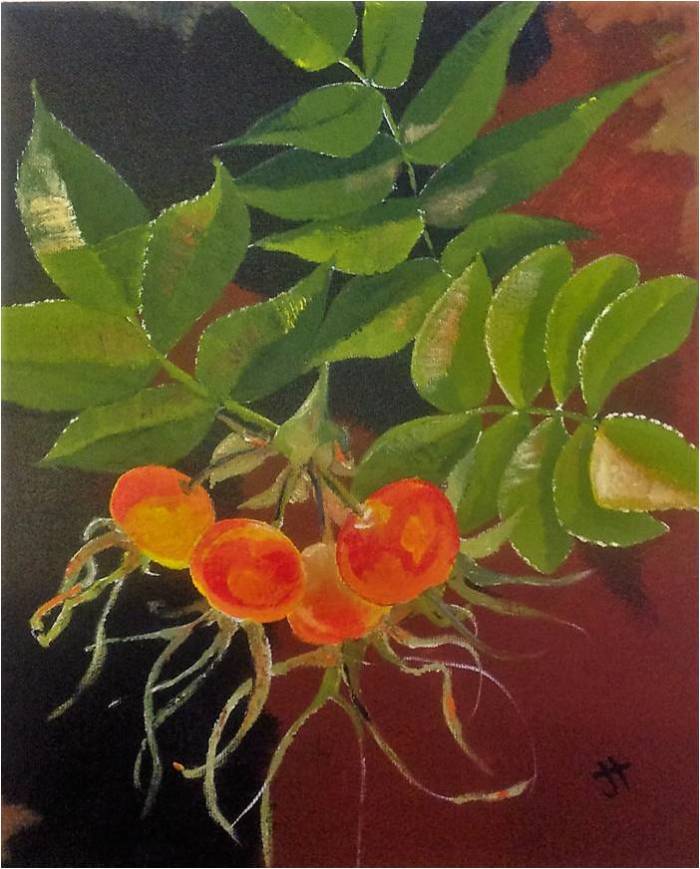 Jane Tims August 25 2016 'rose hips'