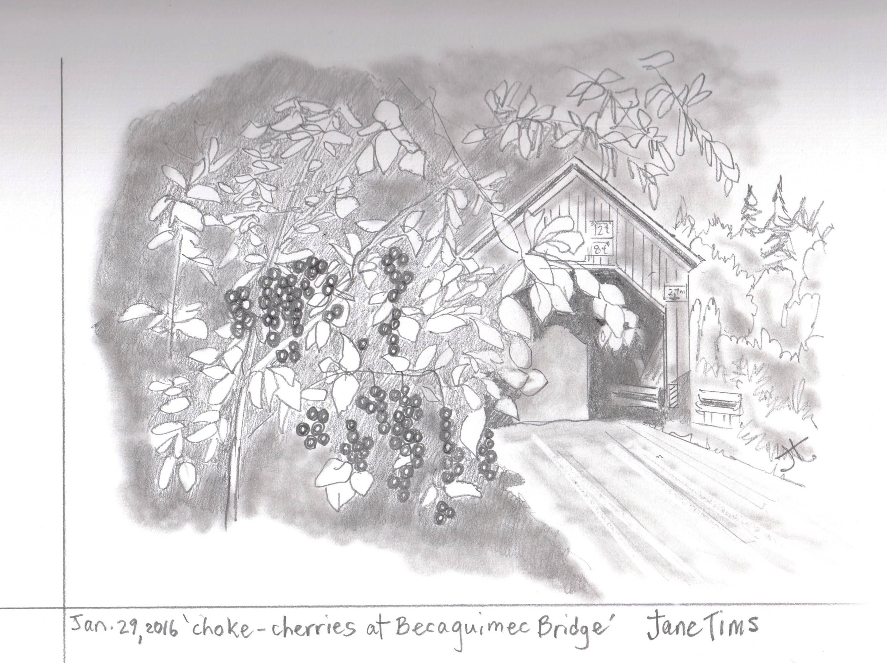 choke-cherries Becaguimec bridge.jpg