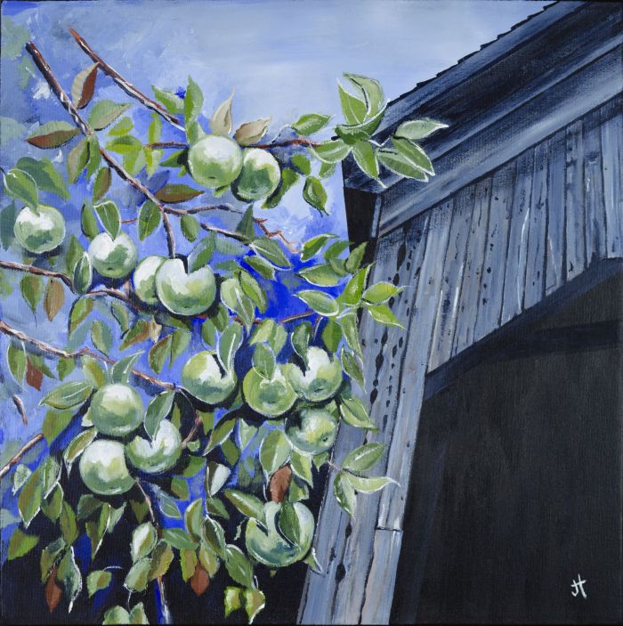 apples, Malone Bridge.jpg