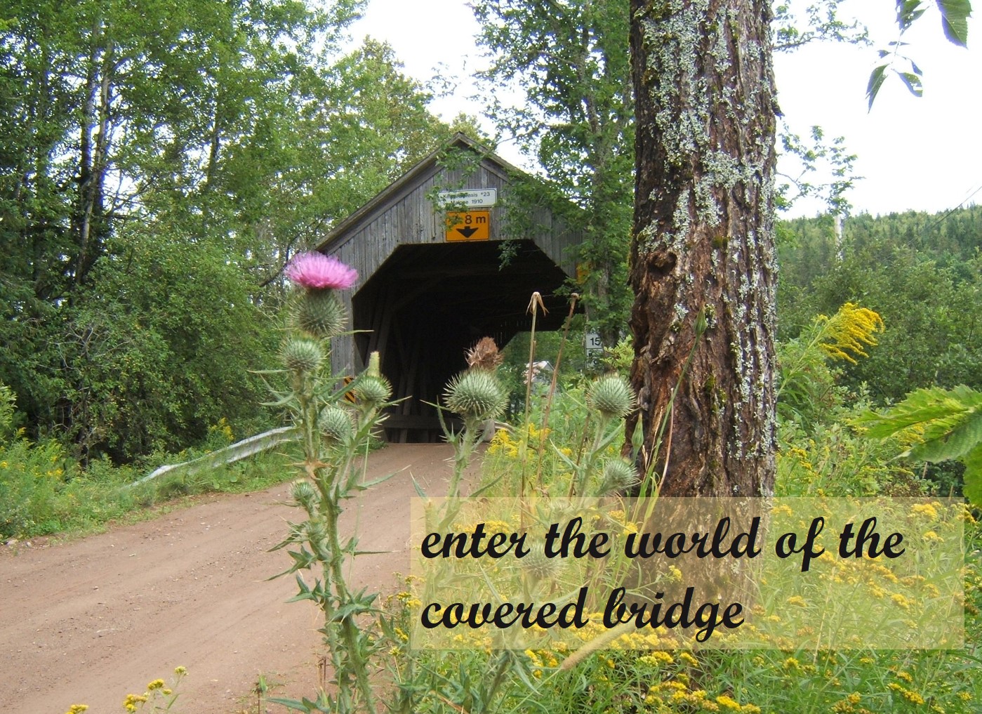 world of the covered bridge.jpg