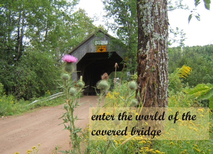 world of the covered bridge.jpg