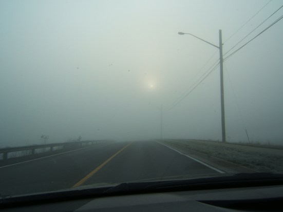 DSCF4028 (2016_12_30 00_28_35 UTC).JPG