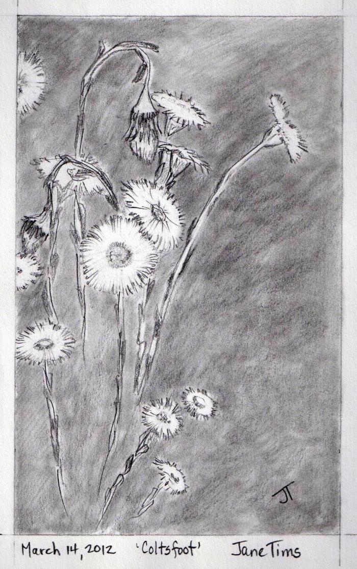 IMG357_crop (2016_12_30 00_28_35 UTC).jpg