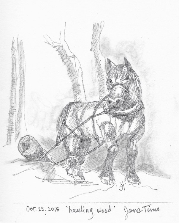 D. 'hauling wood' Oct 25, 2018 Jane Tims